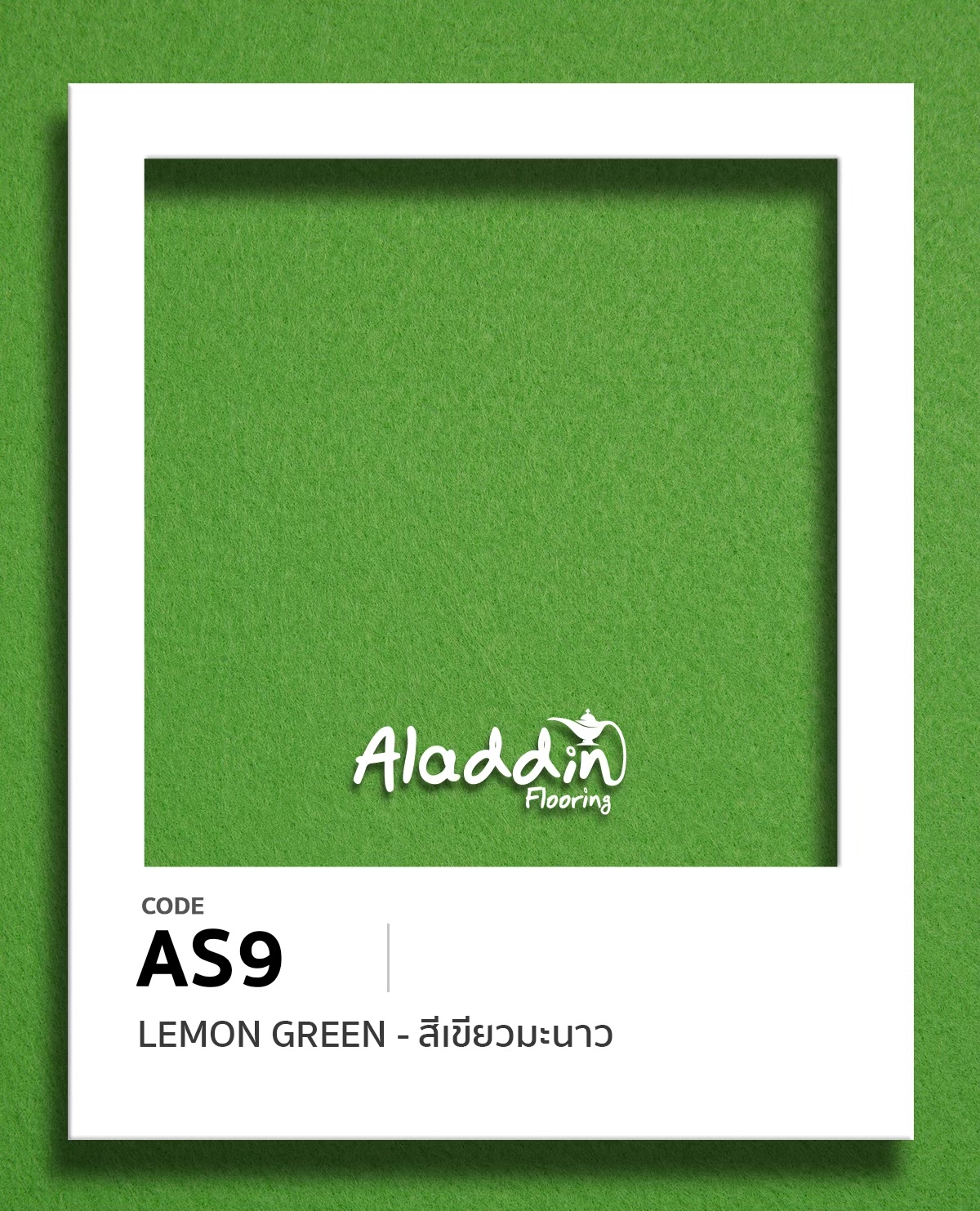 LINE_ALBUM_พรมสีพิเศษ_250905_4_0